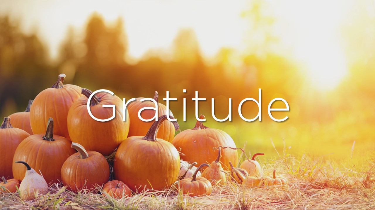 Thanksgiving Gratitude and the Spirit of Giving Back