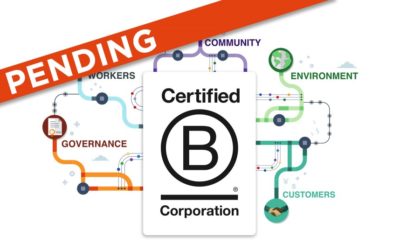 HAYVN Seeks B Corp Certification: Emphasizes Public Benefit