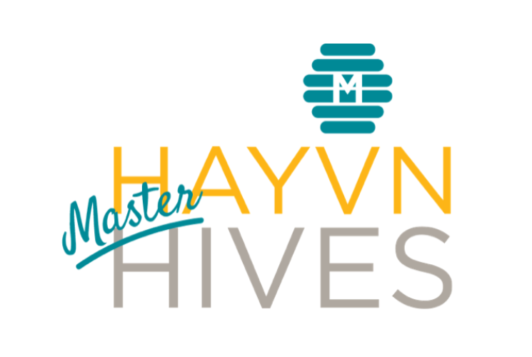HAYVN MASTER HIVES: Monthly Meeting (Winter Cohort)