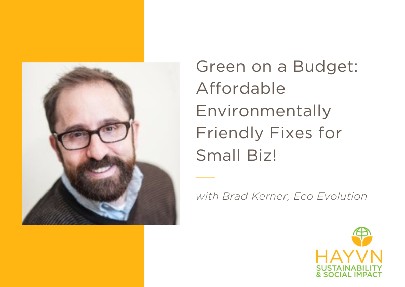 Green on a Budget: Affordable Environmentally Friendly Fixes for Your Small Biz!