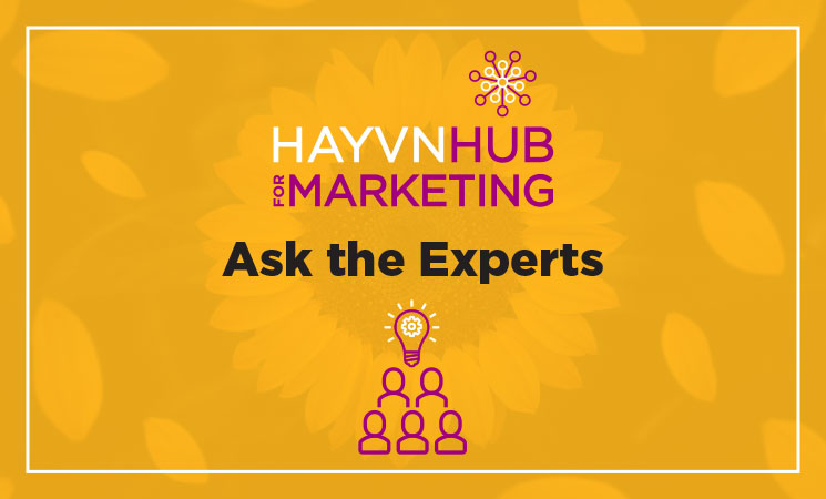 HAYVN Hub for Marketing: Ask The Experts