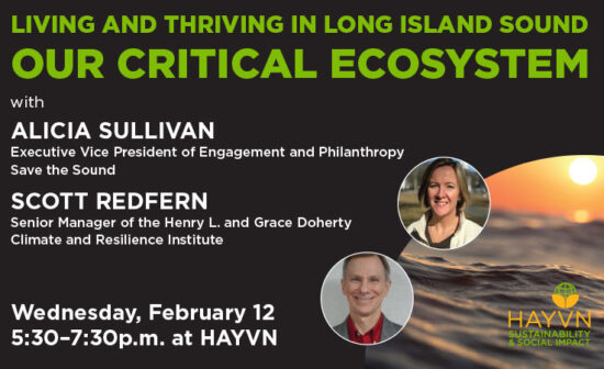 Sustainability meeting February 12, 2025 at HAYVN